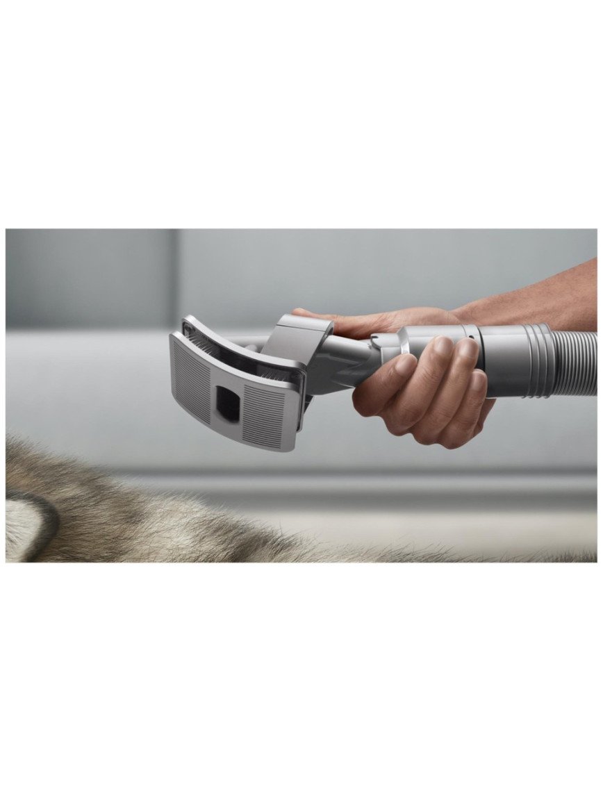 Dyson Evcil Hayvan Bakım Seti